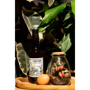 BeerCatcher april, 2025 Castra – Galla