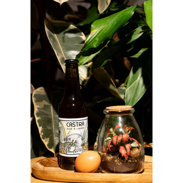 BeerCatcher april, 2025 Castra – Galla