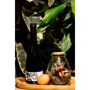 BeerCatcher april, 2025 Clef – Fuel