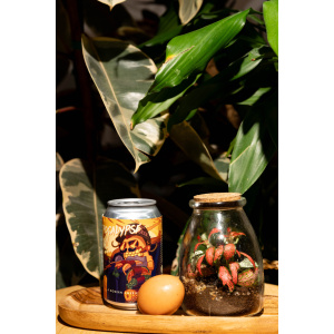 BeerCatcher april, 2025 Lobik – Fruitpocalypse Now!
