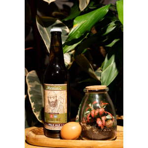 BeerCatcher april, 2025 Meninc – Gozdni mož