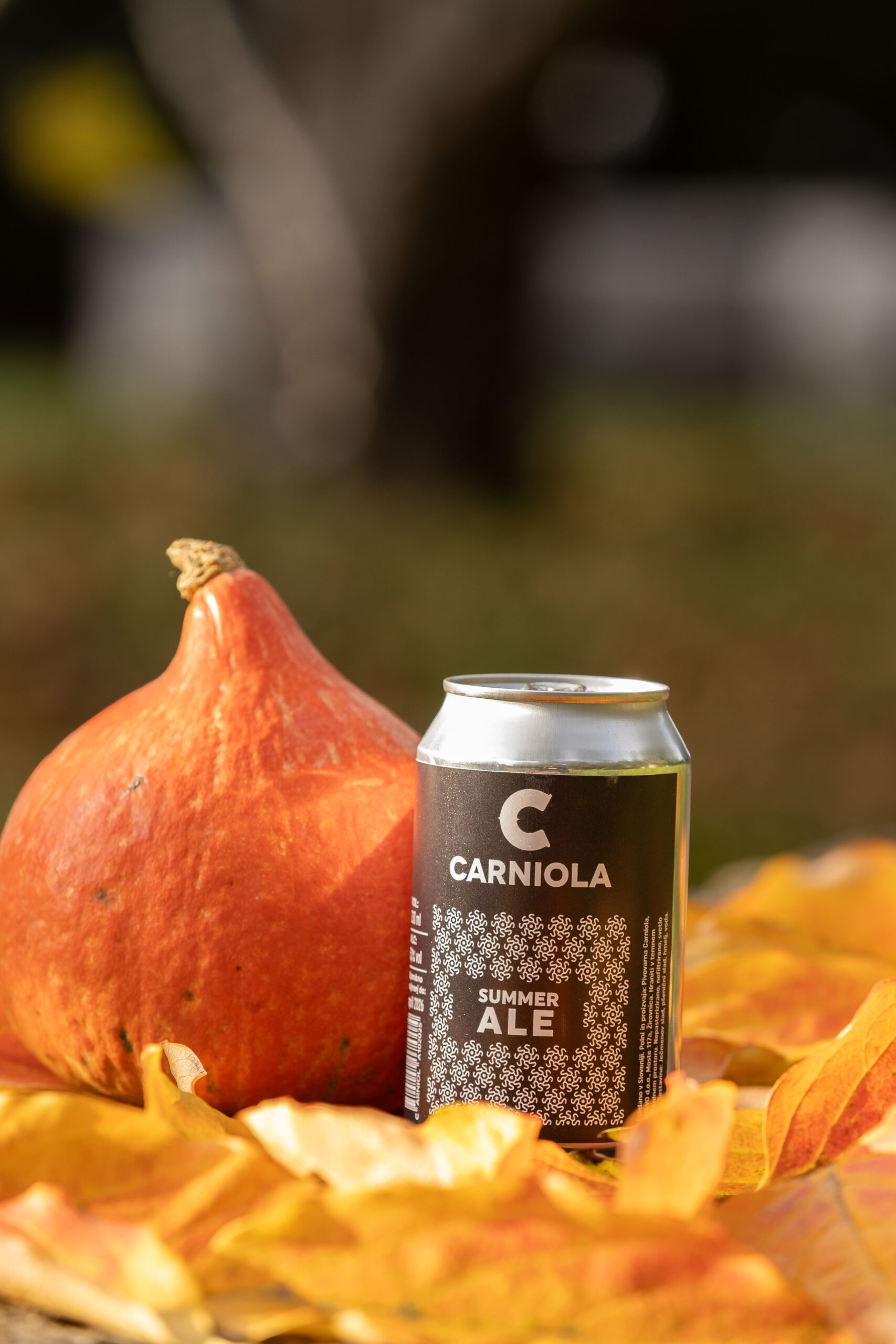 BeerCatcher, Oktober 2025 Carniola Summer Ale